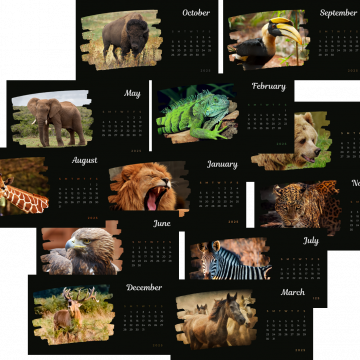 Personalised Calendar Design